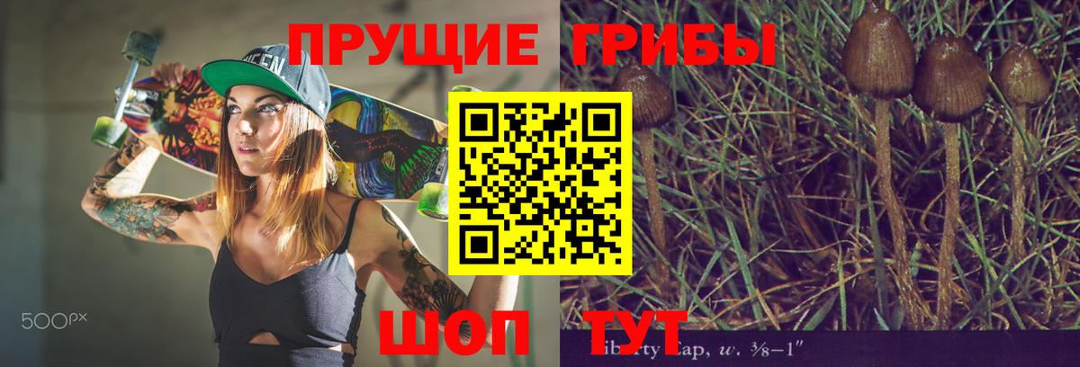 Шали  Псилоцибиновые грибы прущие грибы  Галлюциногенные грибы MAGIC MUSHROOMS  Вход с VPN 