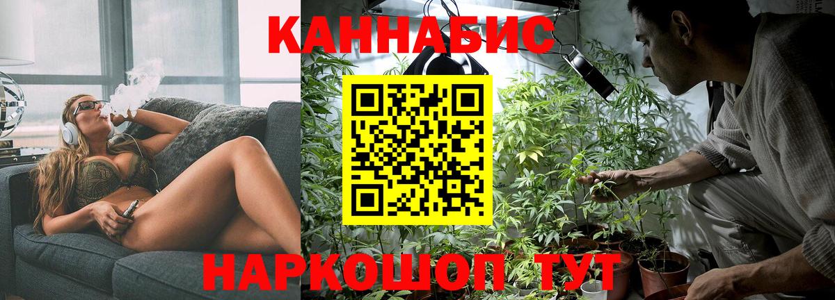 Шали  Бошки Шишки SATIVA & INDICA  Вход с VPN  Бошки Шишки ГИДРОПОН 